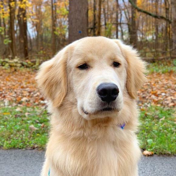 Meet your Posher, Bianca - Picture 1 of 1